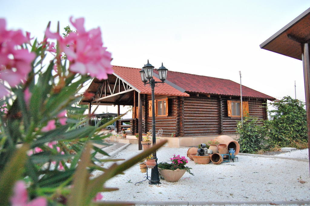 Casas Rurales Villa Pereza Касас-де-лос-Пинос Экстерьер фото